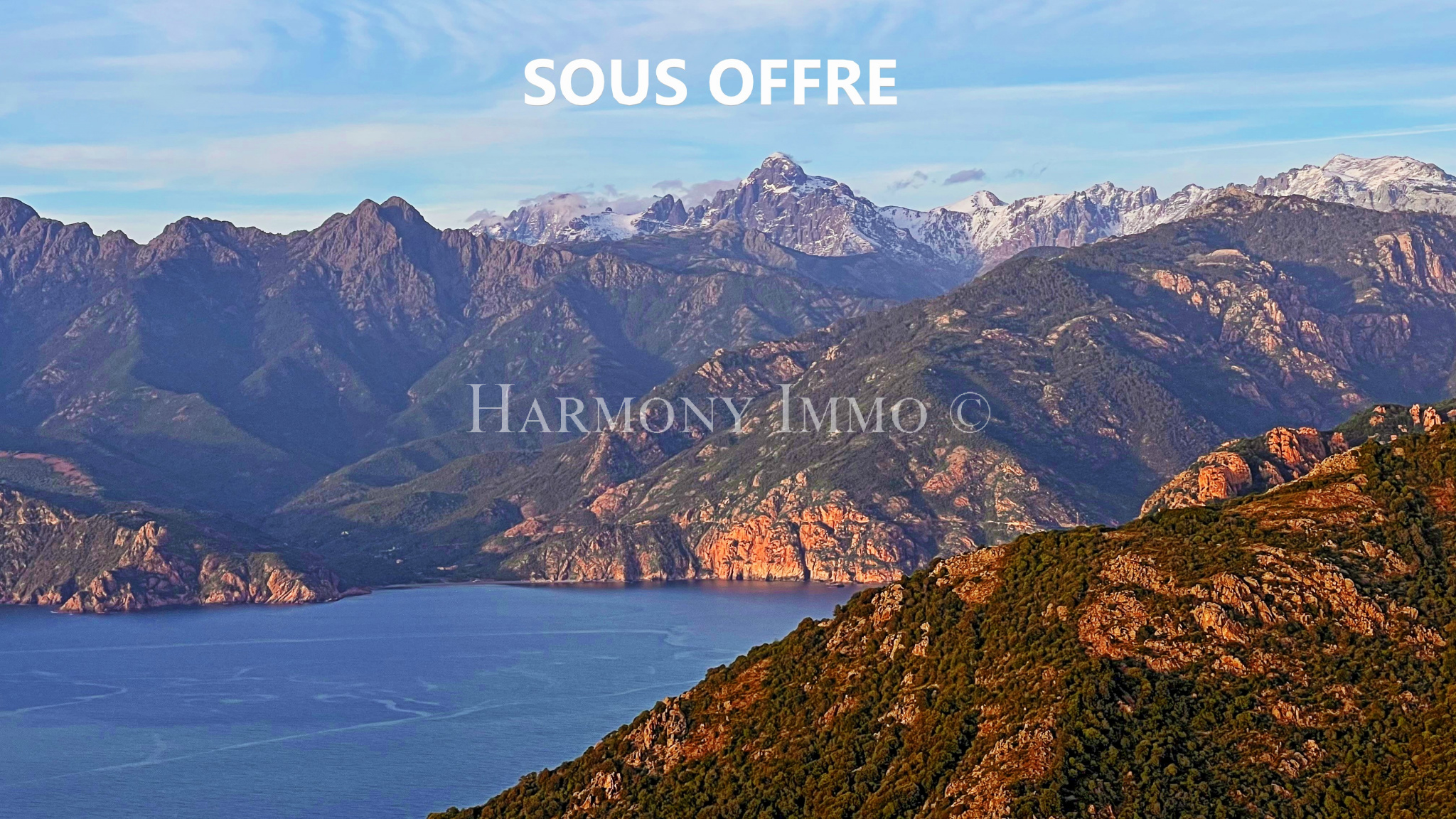 Agence immobilière de Harmony immo