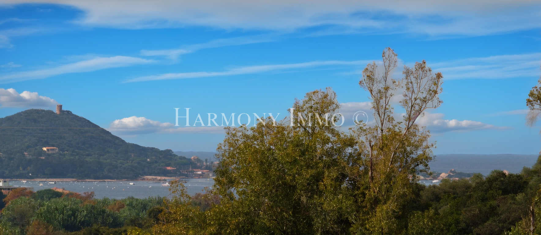 Agence immobilière de Harmony immo