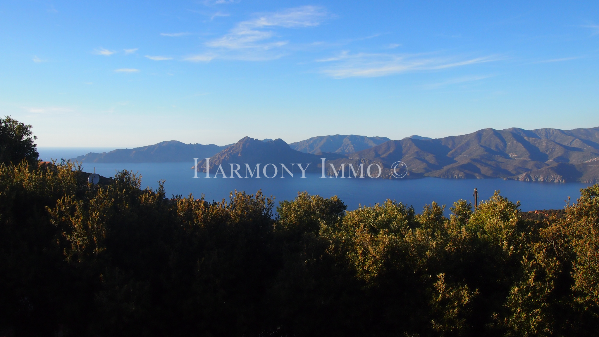 Agence immobilière de Harmony immo