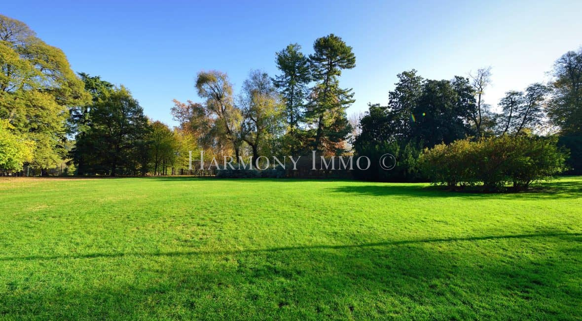 Vente Terrain à Contes (06390) - Harmony Immo